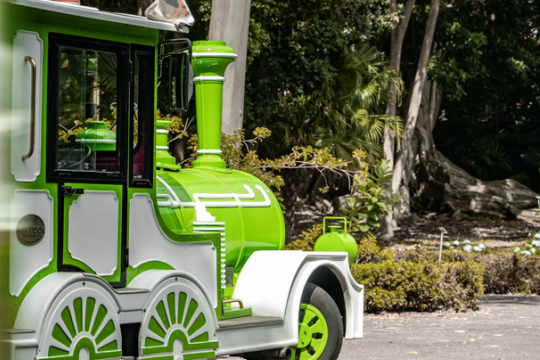Lagarta Road Train visto do