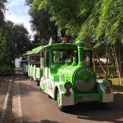 Comboio Rodoviário Lagarta no Jardim António Borges