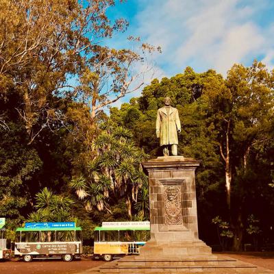 Comboio Rodoviário no Jardim José do Canto