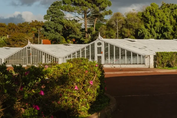 Circuito Histórico + Plantação de Ananás dos Açores